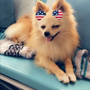 Meet your Posher, Sherry